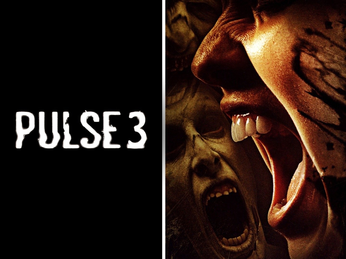 pulse 3 release date